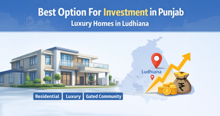 best option for investment